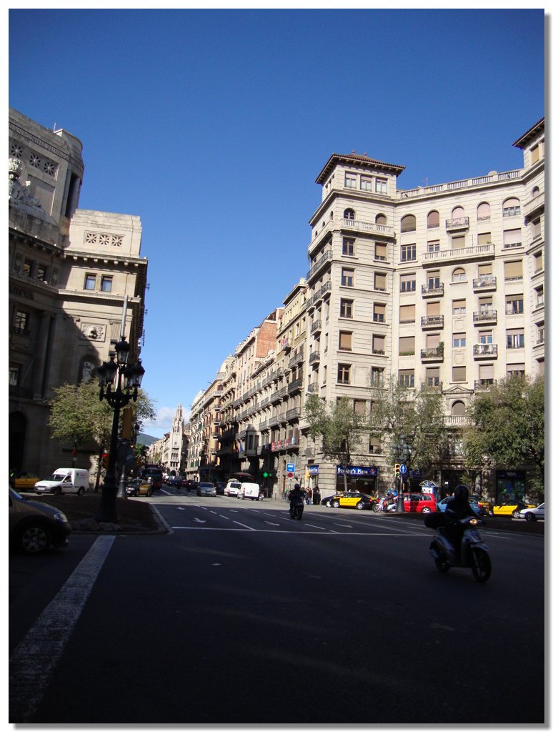 BCLNA_3227.JPG