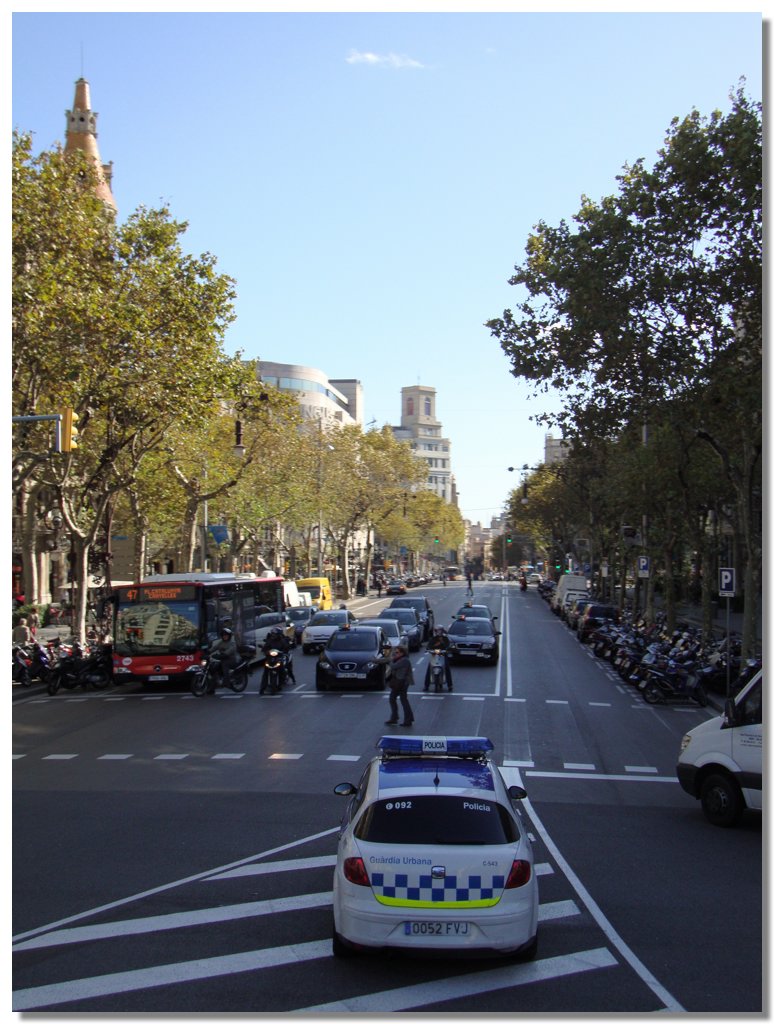 BCLNA_3242.JPG