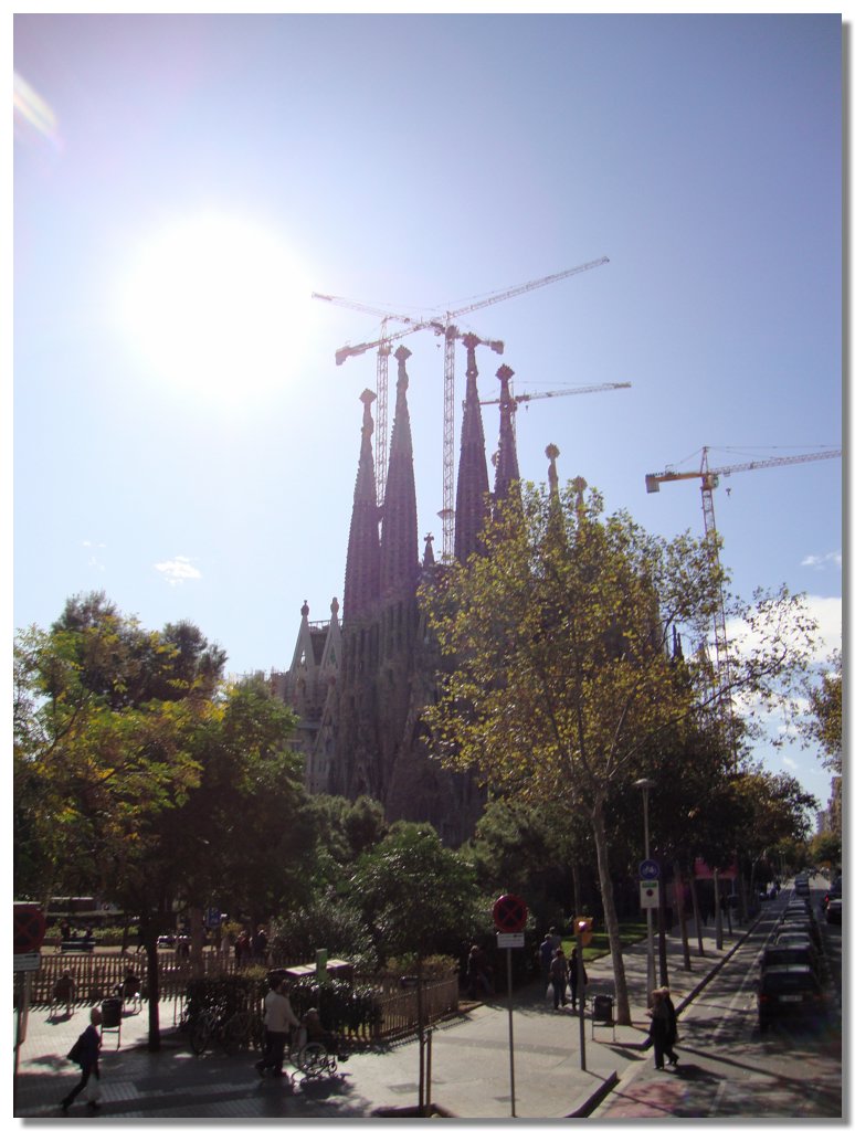 BCLNA_3247.JPG
