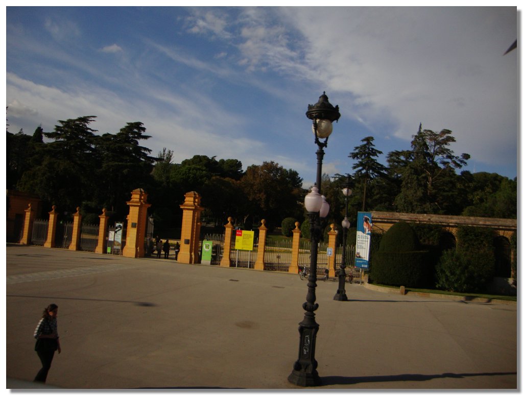 BCLNA_3266.JPG