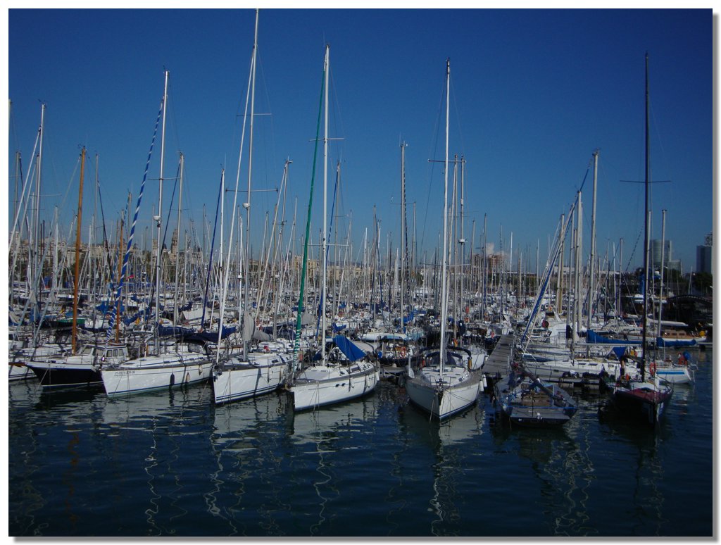 BCLNA_3285.JPG