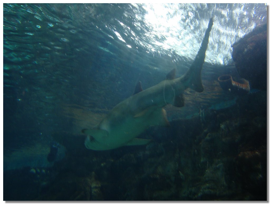 BCLNA_3310.JPG