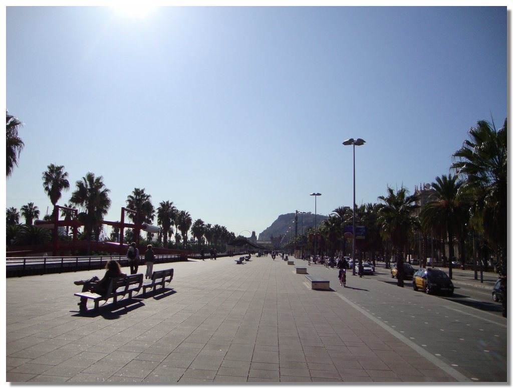 BCLNA_3322.JPG