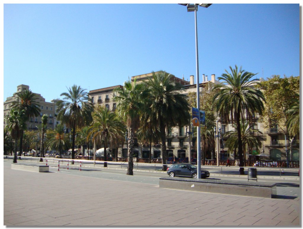 BCLNA_3327.JPG