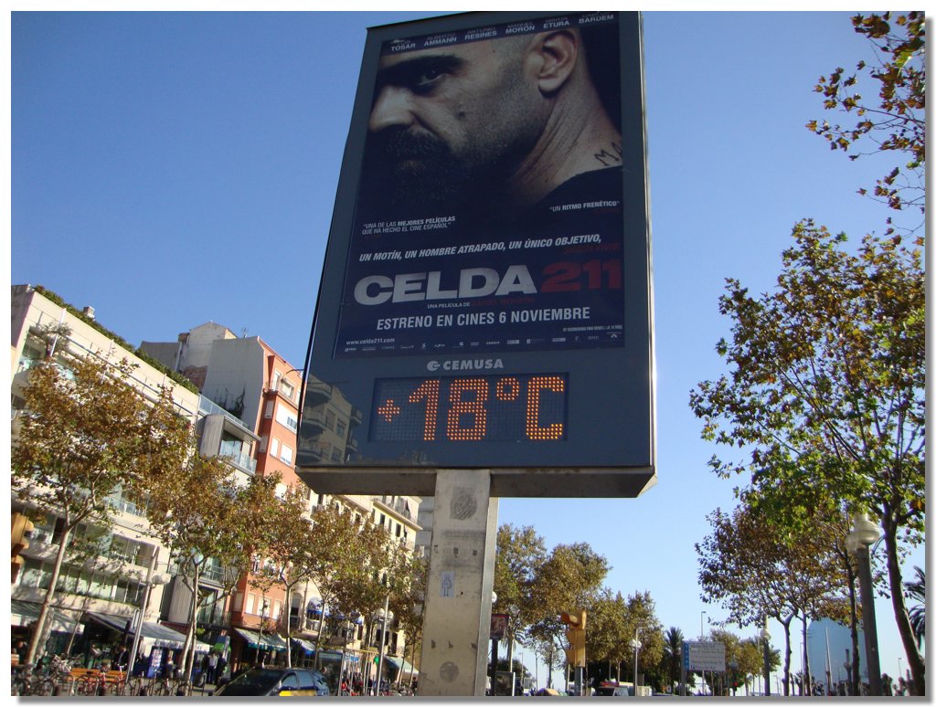 BCLNA_3330.JPG