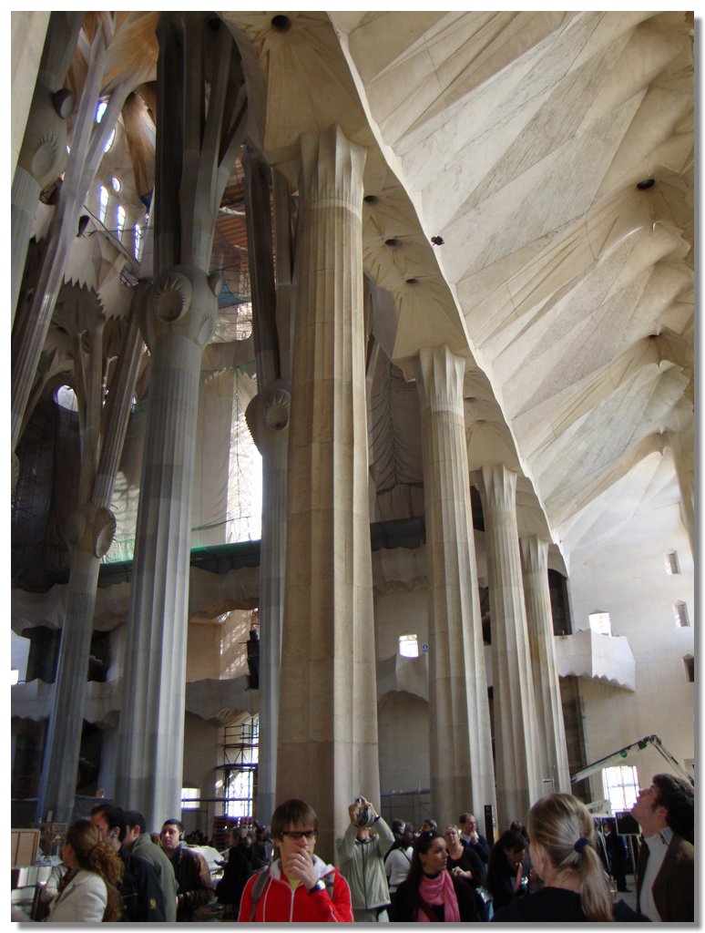 BCLNA_3437.JPG