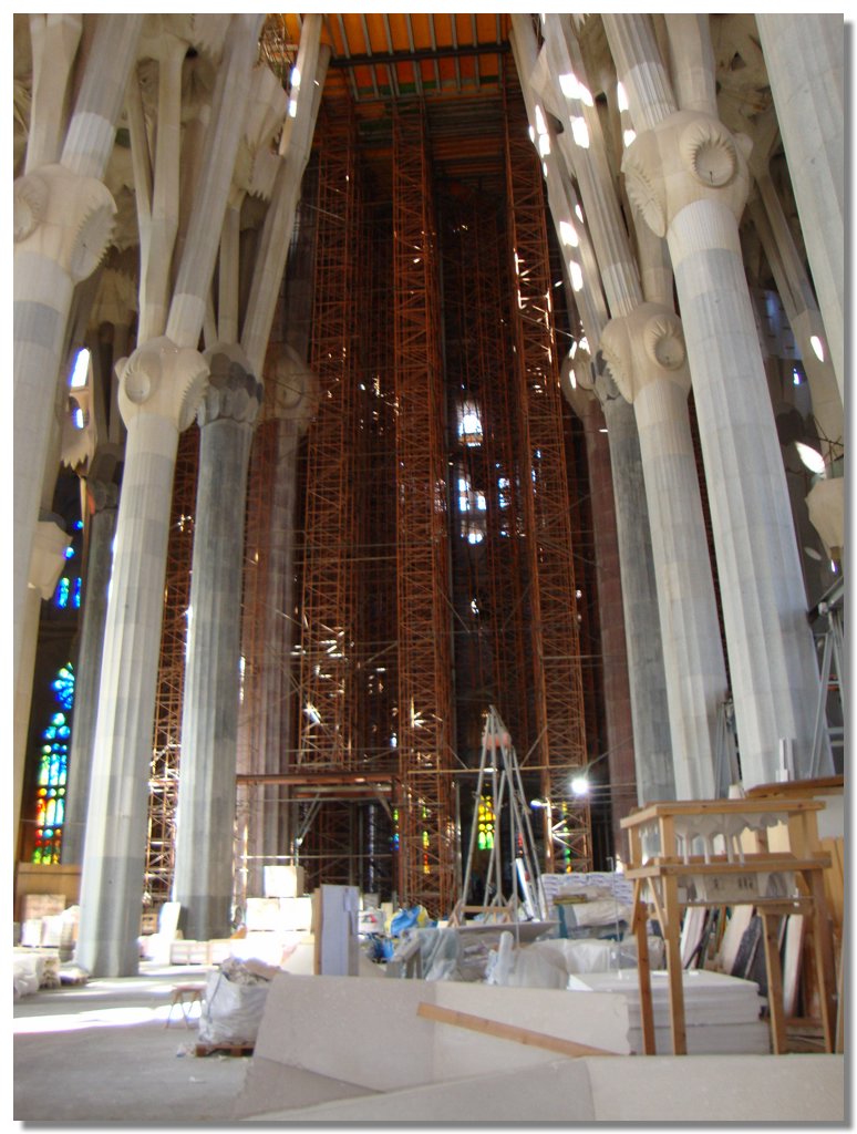 BCLNA_3443.JPG