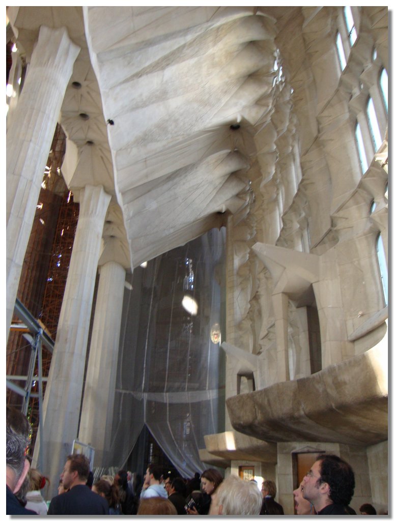 BCLNA_3444.JPG