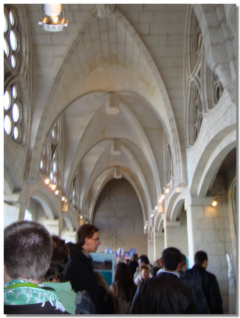 BCLNA_3445.JPG