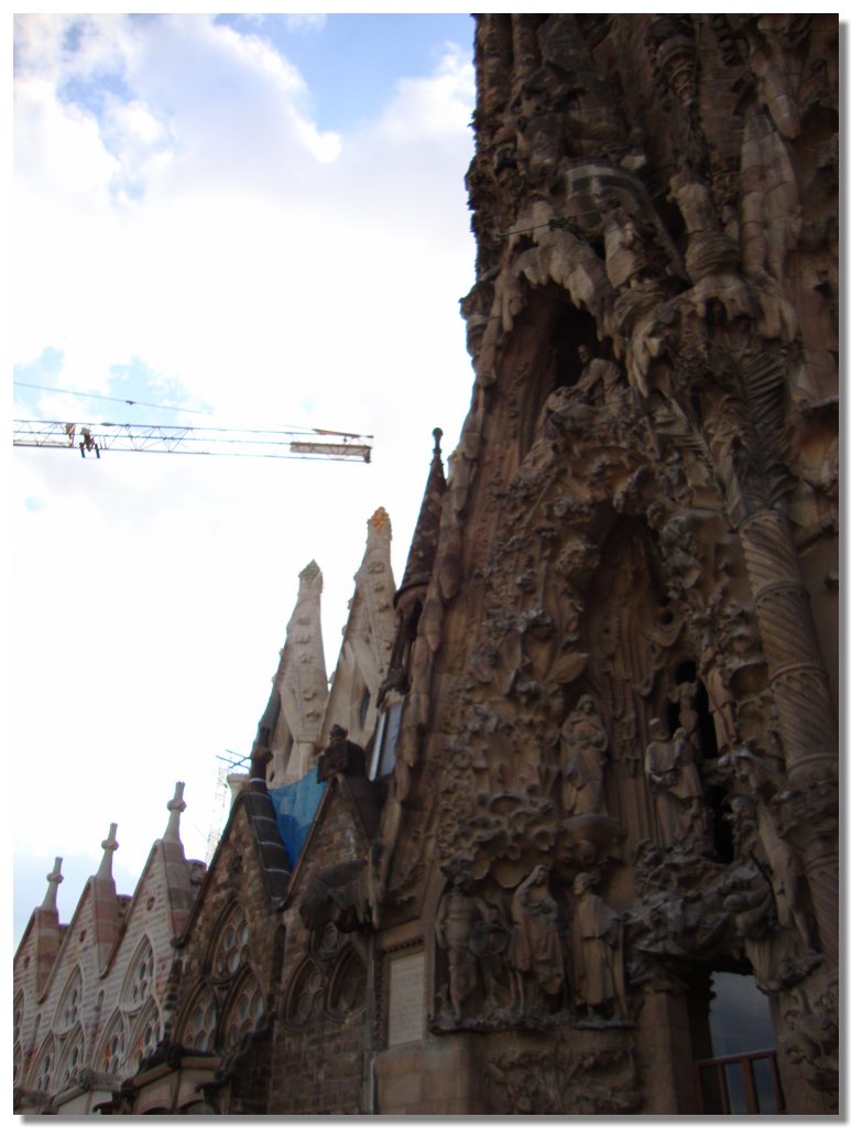 BCLNA_3448.JPG