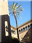BCLNA_3200.JPG