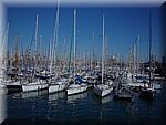 BCLNA_3285.JPG