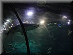 BCLNA_3298.JPG