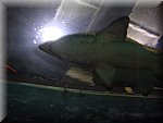 BCLNA_3299.JPG