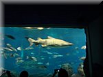 BCLNA_3303.JPG