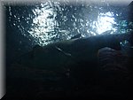 BCLNA_3309.JPG