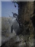 BCLNA_3312.JPG