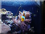 BCLNA_3320.JPG