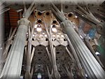 BCLNA_3440.JPG