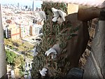 BCLNA_3453.JPG