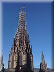 IMG_0815.jpg