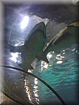 IMG_0872.jpg