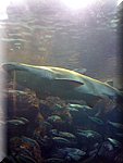 IMG_0880.jpg