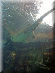 IMG_0881.jpg