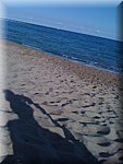 IMG_0903.jpg