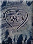 IMG_0904.jpg