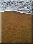 IMG_0906.jpg