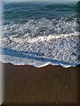 IMG_0907.jpg