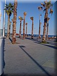 IMG_0910.jpg
