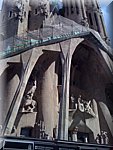 IMG_0923.jpg