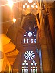 IMG_0927.jpg