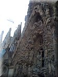 IMG_0936.jpg