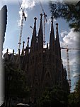 IMG_0950.jpg