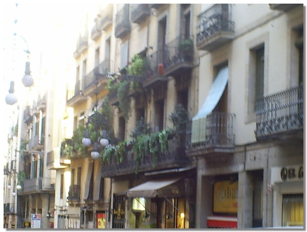 S5030072.JPG