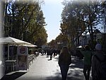 S5030081.JPG